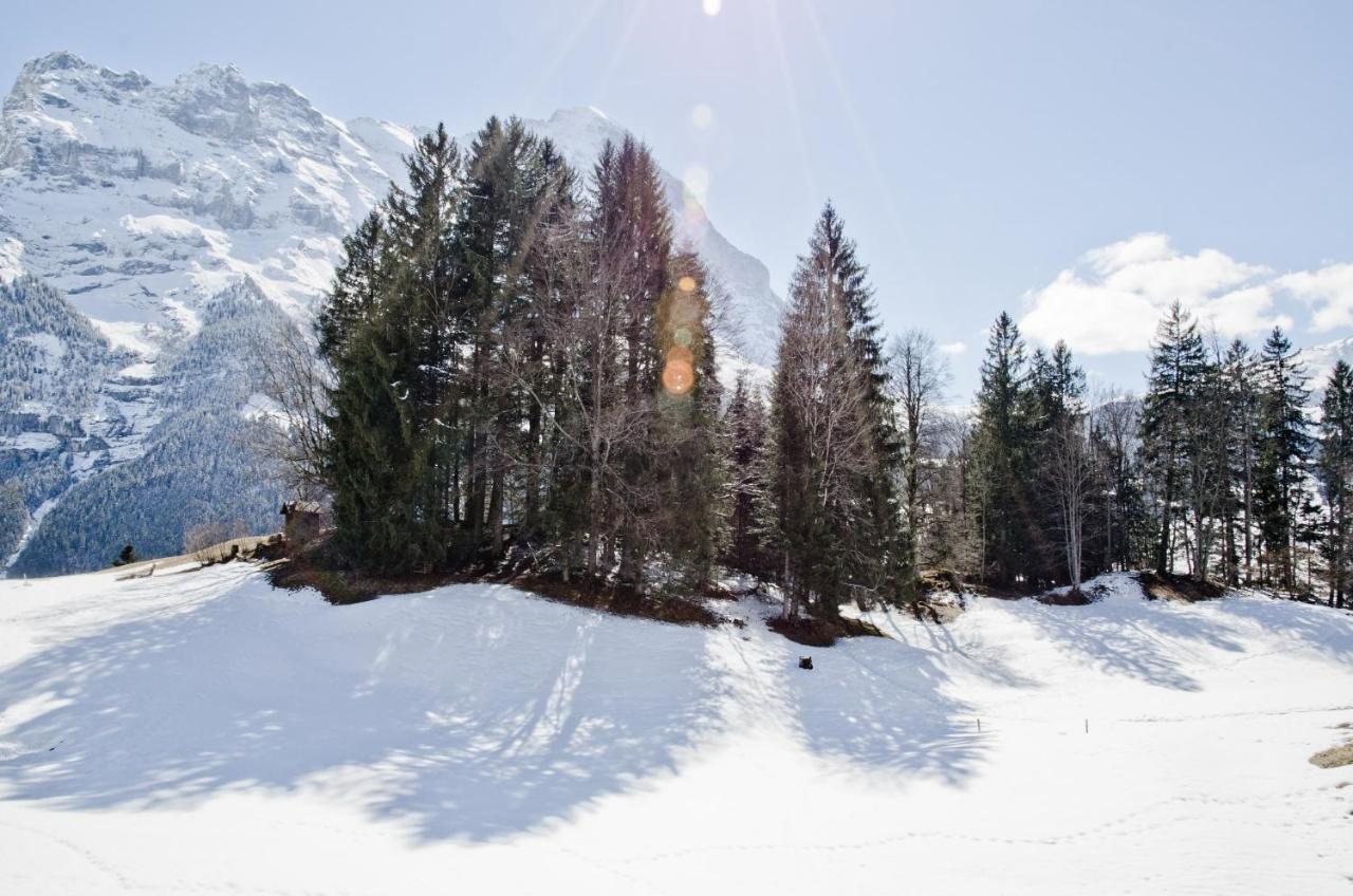 Apartment Grindelwaldgletscher - Griwa Rent Ag Εξωτερικό φωτογραφία